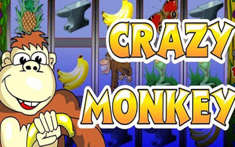 Ігрові автомати Crazy Monkey: особливості відеослоту від провідного вендора Ігрософт