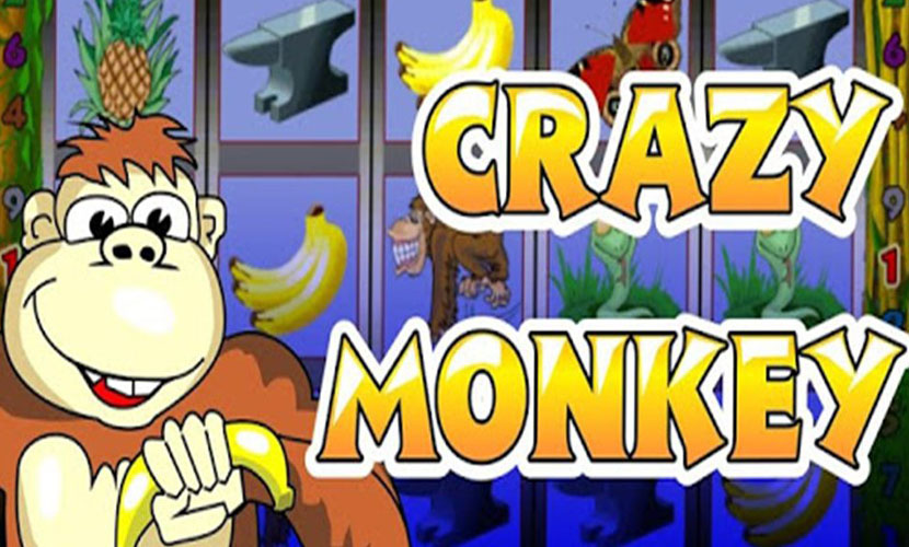 Ігрові автомати Crazy Monkey: особливості відеослоту від провідного вендора Ігрософт